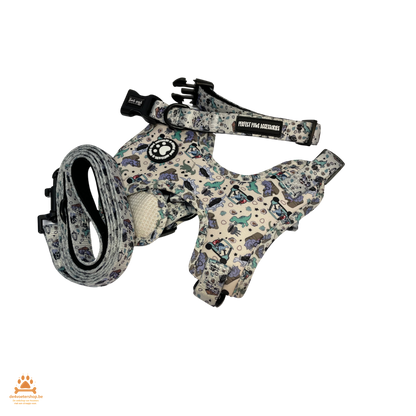 UITVERKOOP Comfort Tuigje Set met Halsband en Lijn Voor Kleine Honden & Katten