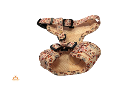 UITVERKOOP Comfort Tuigje Set met Halsband en Lijn Voor Kleine Honden & Katten