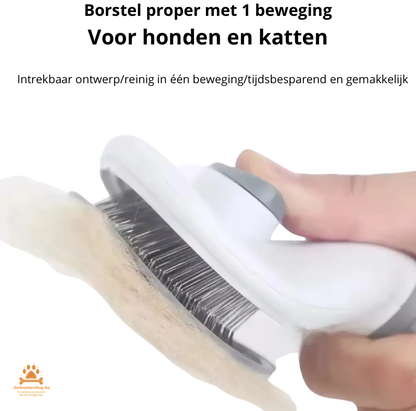 Zelfreinigende Hondenborstel met Roestvrijstalen Pinnen